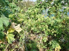 photo coins arrondis